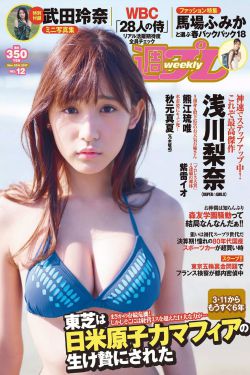公主成年礼共大臣使用