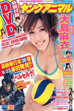 侠女闯天关国语
