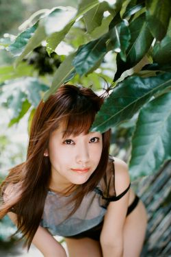 那么爱你为什么小说