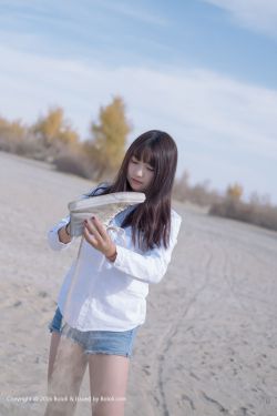 十五年等待候鸟