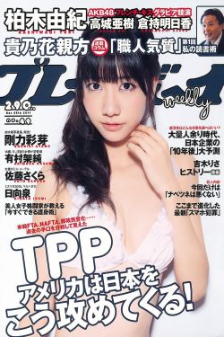 大玩家 小说