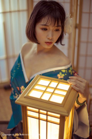 马向阳下乡记