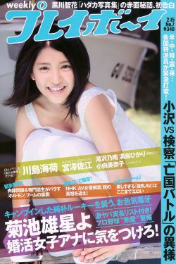 纯情房东俏房客攻略