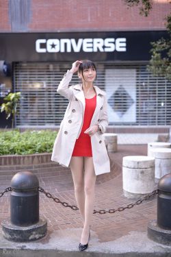 真假王爷