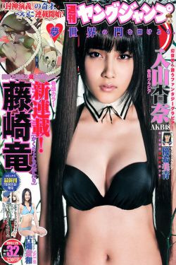 乡村爱情2手机