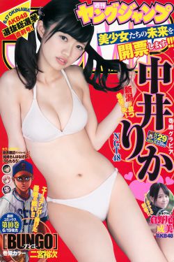 青云志第三季