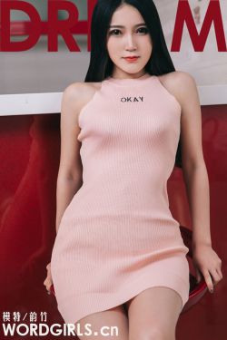 一只想飞的猫读后感